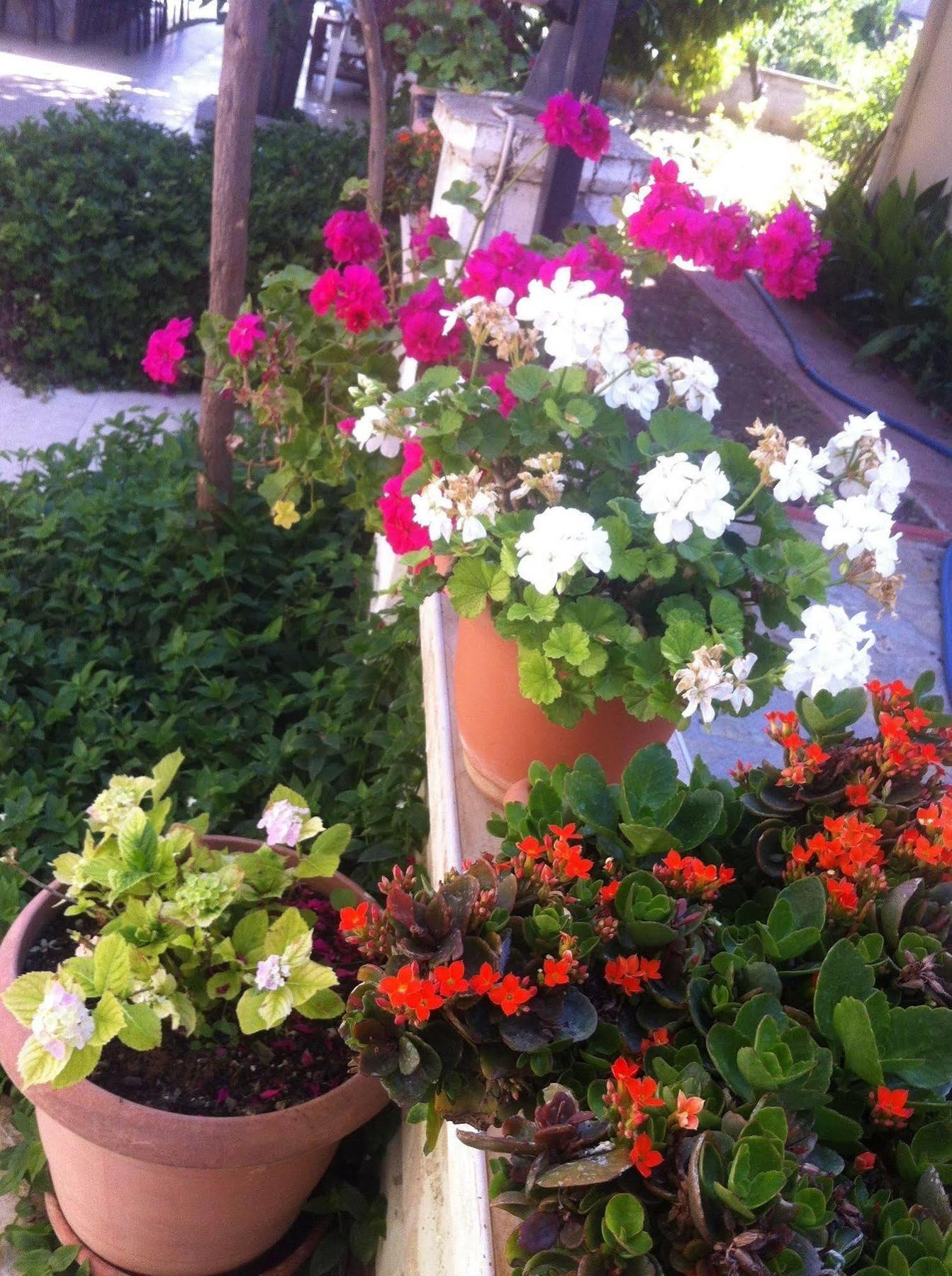 Besik Hotel Fethiye Exterior foto